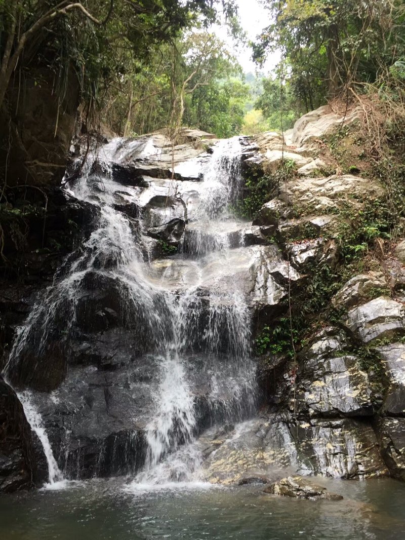 山泉水：从天然之水到现代生活