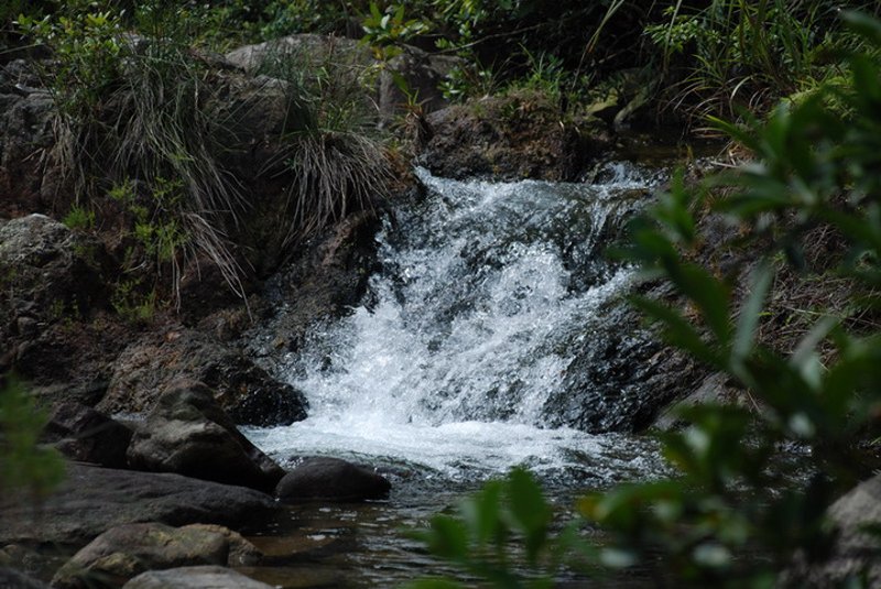 山泉水